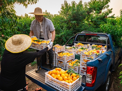 �����ծa(ch��n)�J�U6pro�M�A�棺��(chu��ng)��·�ϵ�ʡ��֮�x