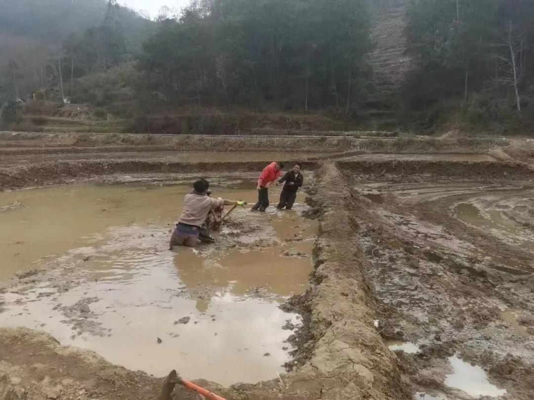 �r����܇�賿�����ͣ��L(f��ng)��ҹ�w��