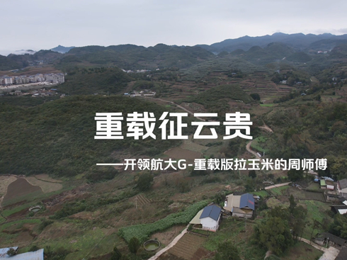 ��ҕ�l�����d�����F���_�I(l��ng)����G-���d�������׵��܎���